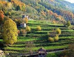 Eliseo B&B Ristorante