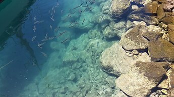 Apartment Playa Mogan Hungaria 4