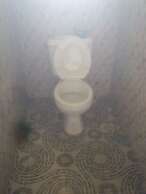 Carribean Guest Room