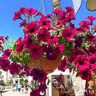 Playa De Mogan Mirador 15