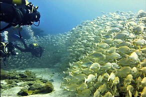 Playa De Mogan Mirador 15