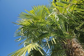 Jardis Boutiquehotel - Adult Only