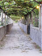 Regina - Quinta São Francisco Rural Resort