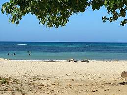 Beautiful 1-bed Beach Side Studio in Montego Bay