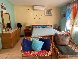 Beautiful 1-bed Beach Side Studio in Montego Bay