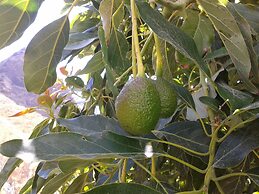 Enjoy Casa Rural La Tinta