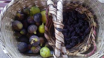 Enjoy Casa Rural La Tinta