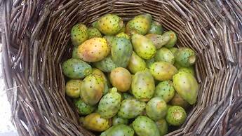 Enjoy Casa Rural La Tinta