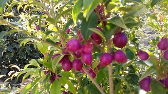 Enjoy Casa Rural La Tinta