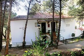 Rural Apartments Overlooking the Lake