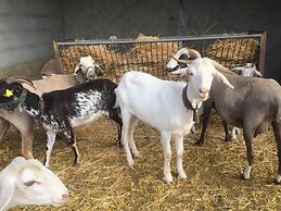 Romantic House for 2 People With Jacuzzi