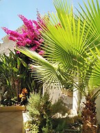 Casa Limona With Private Garden