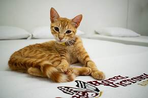 Hotel Victoria Barichara