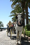 Beachfront Apt for a no Car Holiday Puerto Banus, Free Wifiparkingtvai