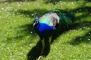 Hamilton Lakeside Motel