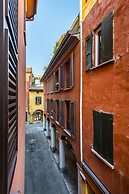 Design Club Collection