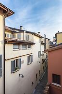 Design Club Collection