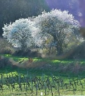 Manoir du Bois Mignon