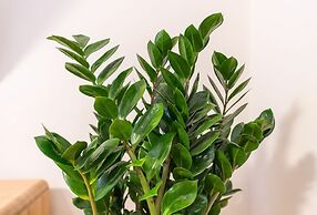 Pension Alt Straninger