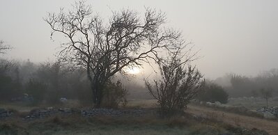 Gîtes du Combeau