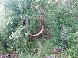 Entre Pampa y Bosque