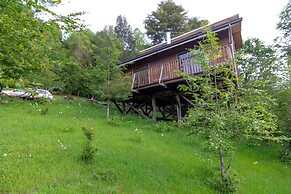 Entre Pampa y Bosque