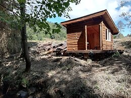 Entre Pampa y Bosque