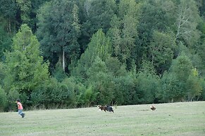 Entre Pampa y Bosque