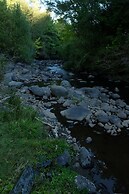 Entre Pampa y Bosque