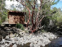 Entre Pampa y Bosque