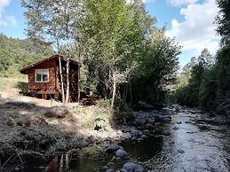 Entre Pampa y Bosque