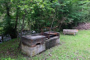 Entre Pampa y Bosque