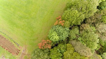 Entre Pampa y Bosque