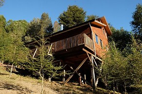 Entre Pampa y Bosque