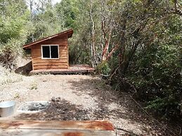 Entre Pampa y Bosque