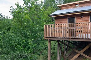 Entre Pampa y Bosque