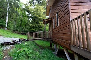 Entre Pampa y Bosque