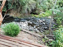 Entre Pampa y Bosque