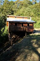 Entre Pampa y Bosque