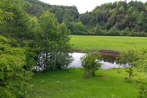 Entre Pampa y Bosque