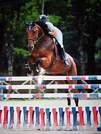 Residenza Erba Di Campo