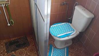 Aconchego dos schreiber