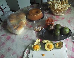 Aconchego dos schreiber