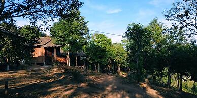 Sea View Beach Bungalows