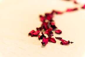 Apartments Villa Bell Memories