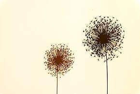 Apartments Villa Bell Memories