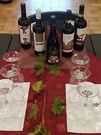 Agriturismo Borgo Macereto