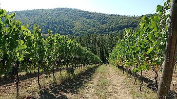 Agriturismo Borgo Macereto