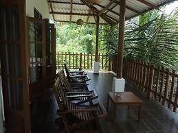 Baby Elephant Green House