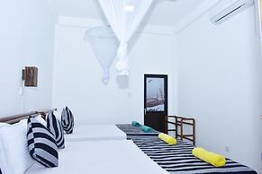 Baby Elephant Green House